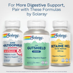 Solaray Gutshield Powder close-up of ingredients for gut support.
