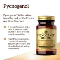 Solgar Pycnogenol capsules closeup highlighting plant-based ingredients for daily use.