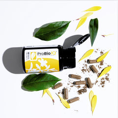Solle Naturals Solle ProBio IQ daily-use setup for routine probiotic support