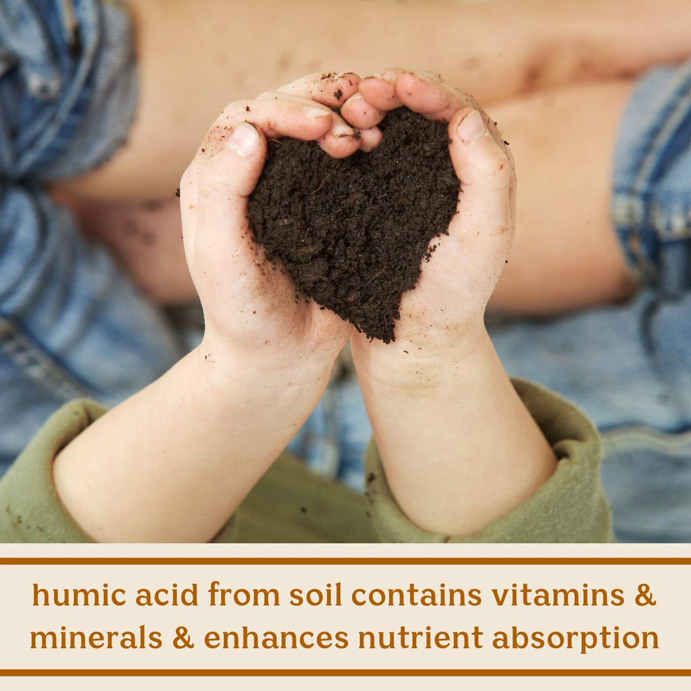 USA-made, vegan-friendly SBOs emphasize non-GMO, shelf-stable support for on-the-go digestion.