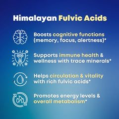 SOLNUVI Irish Sea Moss extract highlighting mineral-rich formula