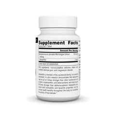 Source Naturals Astaxanthin 2mg tablets on hand for convenient daily protection