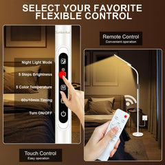 Sozapooty 2-in-1 lamp suitable for floor and desk use
