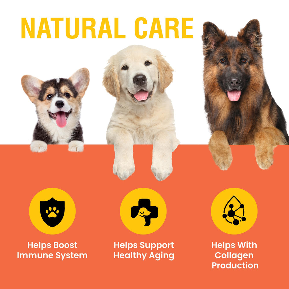 Special Breed Vitamin C for Dogs label closeup highlights natural ingredients