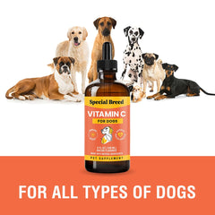 Special Breed Vitamin C for Dogs dropper in use demonstrates easy dosing