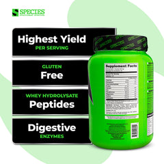 Species Nutrition Isolyze pumpkin spice label closeup highlights no added sugar