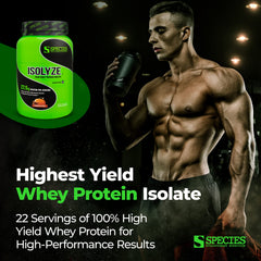 Species Nutrition Isolyze pumpkin spice powder in shaker demonstrates smooth mixing and flavor