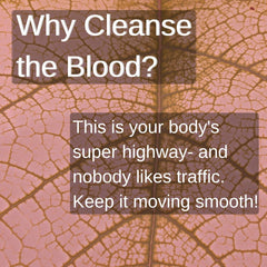 SpeedyVite Blood Lifeboost measuring scoop beside loose leaf blend.