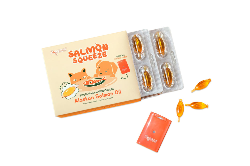Spoonful Salmon Squeeze bottle with easy-dispense design for pets.