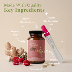 SPRIGS prenatal vitamins label shows folate, iron, B12 and minerals for balanced nutrition.