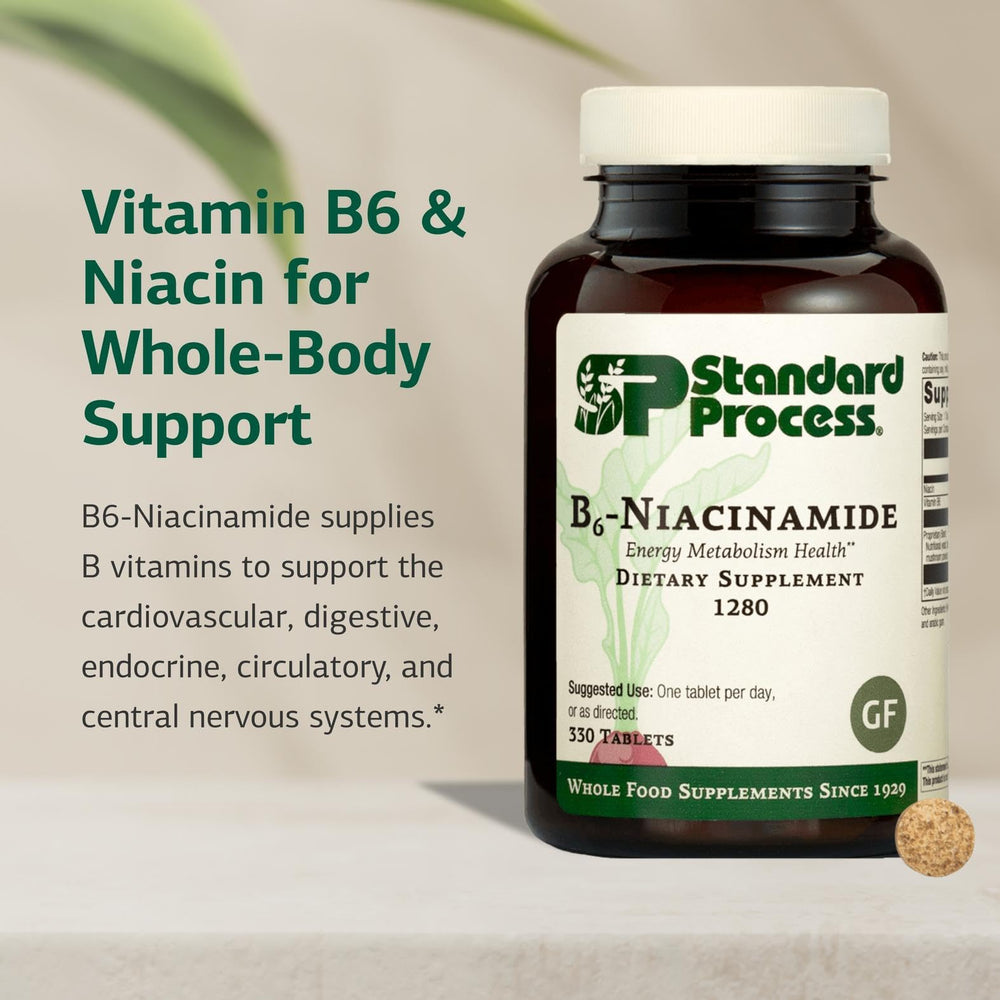 Standard Process B6-Niacinamide packaging label highlighting gluten-free, dairy-free, and soy-free attributes