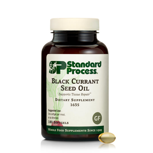 Standard Process Black Currant Seed Oil softgel bottle supporting tissue wellness.