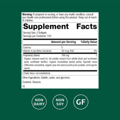 Standard Process Chlorophyll Complex bottle back with supplement facts and gluten-free note.