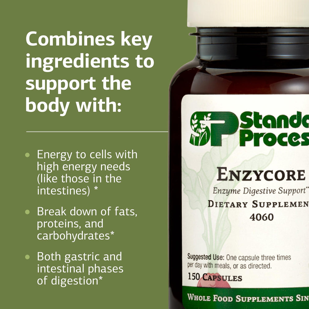 Standard Process Enzycore kale and beet powder image suggests natural digestive aids