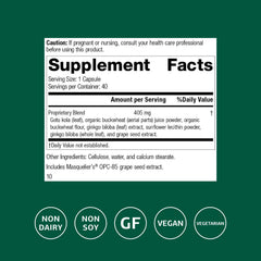 Standard Process Ginkgo Synergy capsules shown for daily brain health