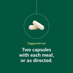 Standard Process Lact-ENZ capsules closeup illustrating digestion support benefits.
