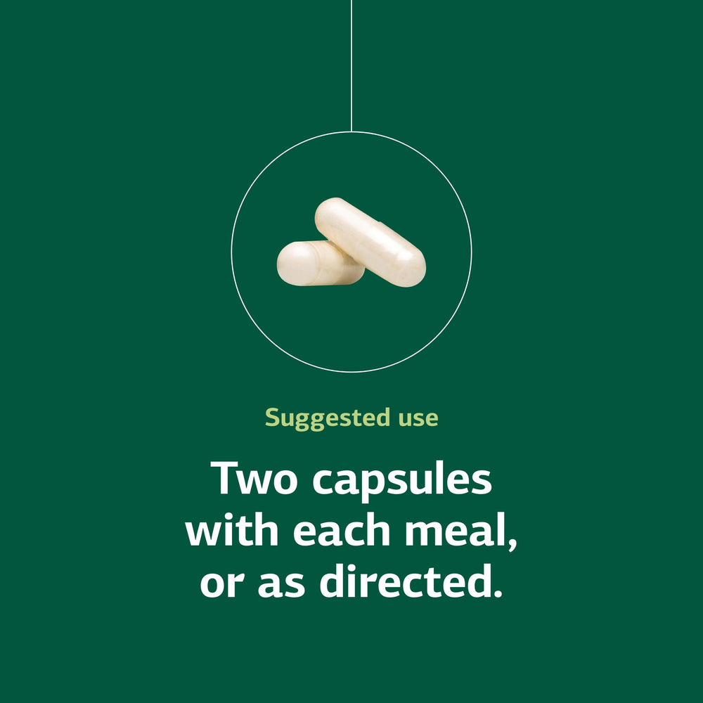 Lact-ENZ in use at mealtime for digestive support.