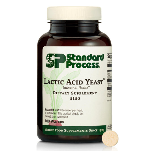 Standard Process Lactic Acid Yeast bottle with label for daily gut support.