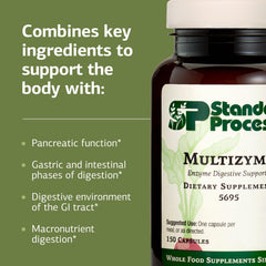 Enzyme blend illustration featuring bromelain, amylase, and lipase in Multizyme.
