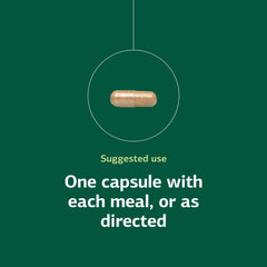 Standard Process Orchex ingredient visuals featuring niacin and vitamin B6.