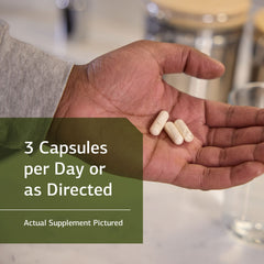 Standard Process ProSynbiotic capsules ready for everyday digestive routine.