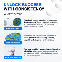 STARFIT 90-capsule packaging signals long-term supply.