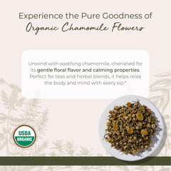 Close-up of Starwest chamomile petals highlighting delicate aroma for blends