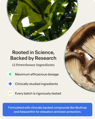 STASIS Nighttime packaging box emphasizing vegan and non-GMO formula