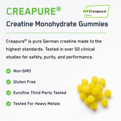 SteelFit Creapure gummies bottle with label displaying 5 g per serving.