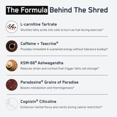 SteelFit Shredded Steel label packaging emphasizes transparent ingredients.