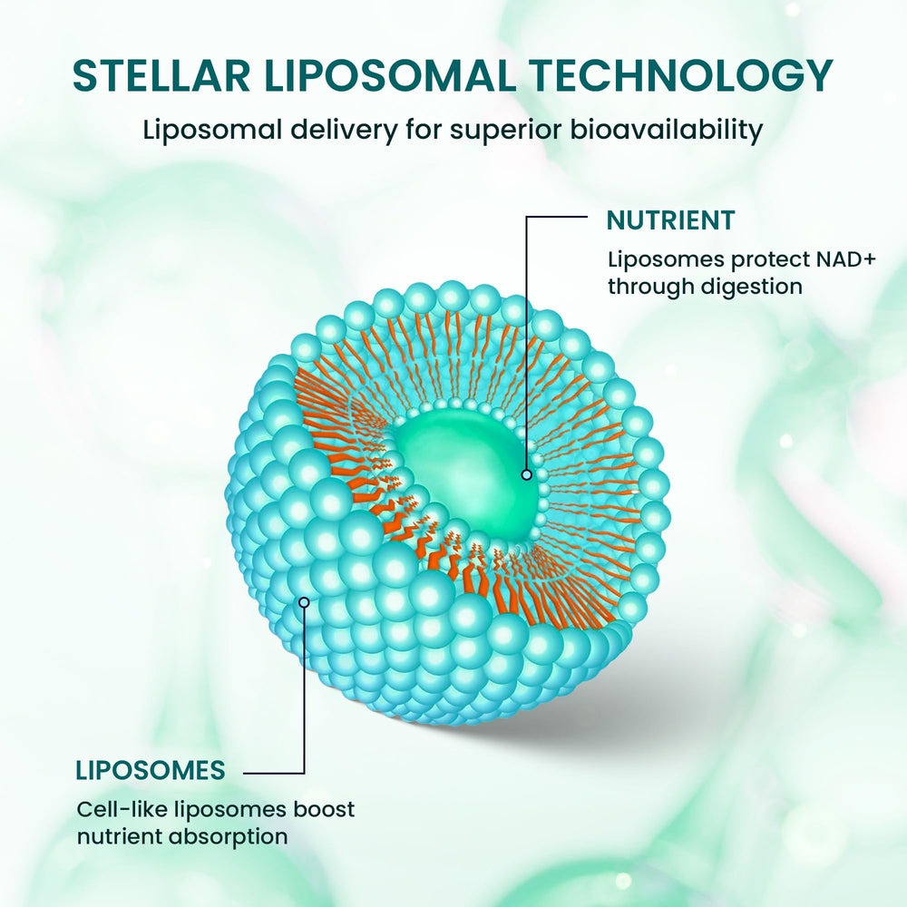 STELLAR Liposomal Glutathione seal confirms non-GMO and gluten-free formulation.