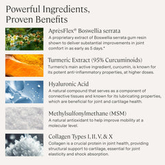 Stonehenge Health Dynamic Joint MSM ingredient visual