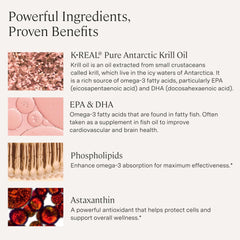 Stonehenge Health Dynamic Krill Oil label – highlights phospholipids and astaxanthin.