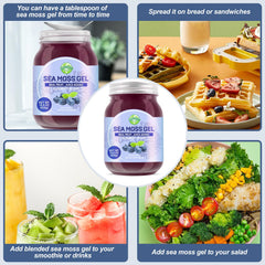 SumDIP Sea Moss Gel blueberry jar shown for convenient daily use