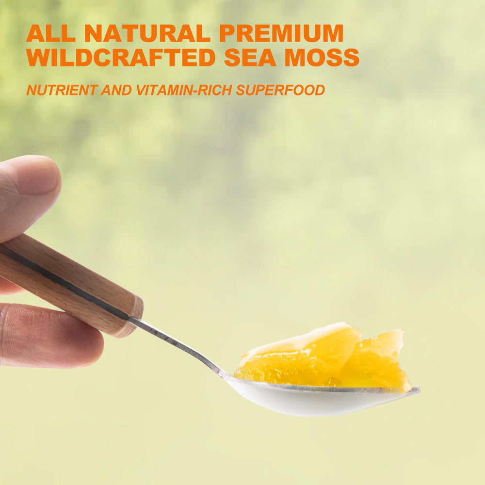Ingredients panel of SumDIP Sea Moss Gel highlighting non-GMO and additive-free formula.