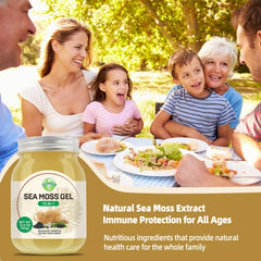 SumDIP Sea Moss Gel bottle features Ashwagandha and Black Seed Oil for daily use.