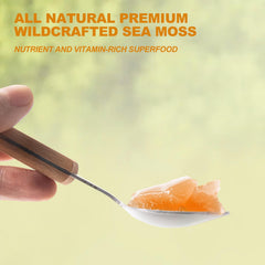 SumDIP sea moss gel in smoothie mix for daily energy.