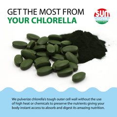 Sun Chlorella tablet dissolving in water for easy absorption.
