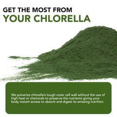 Close-up of Sun Chlorella nutrition panel highlighting vitamins.