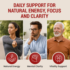Closeup of tablets shows easy daily regimen and high potency CoQ10