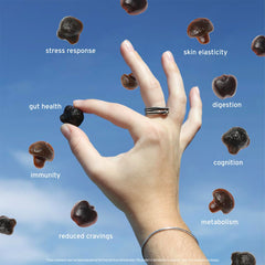 SUNMED Supergreens daily gummies with ashwagandha highlight stress resilience potential.