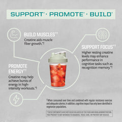 Sunwarrior creatine monohydrate powder in gym setting highlighting training focus