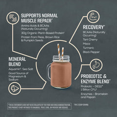 Sunwarrior organic plant protein ingredients scene highlighting rice, pumpkin, and pea blends.