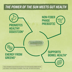 Sunwarrior Probiotics ingredients chloroplasts and prebiotics for digestion