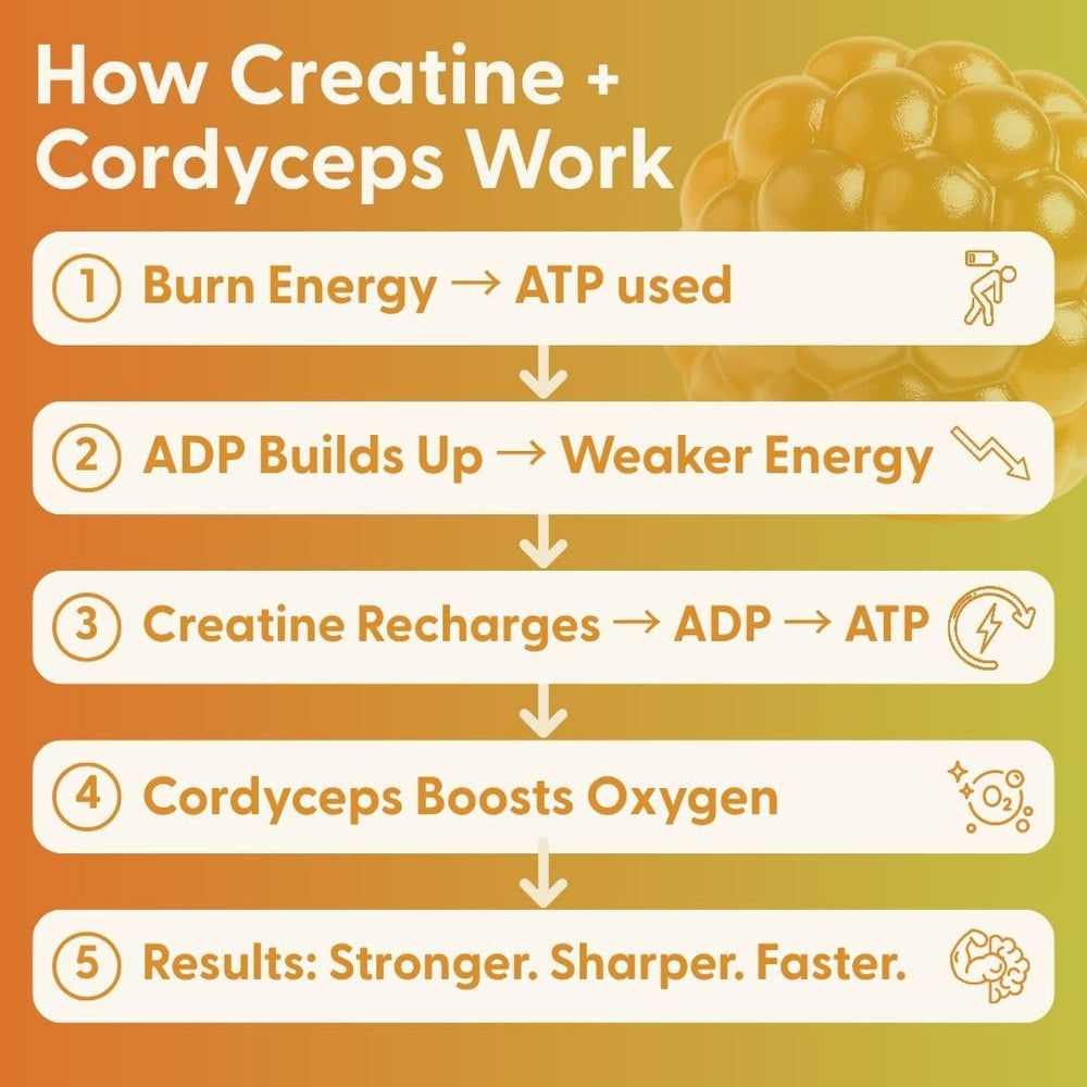 SuperMush creatine gummies with cordyceps for endurance and recovery support