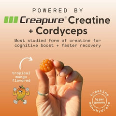 Close-up of SuperMush gummies showing chewy texture with cordyceps and creatine blend