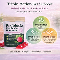 SUUDUUL Probiotic Kombucha Gummies fermented-tea aroma visual for authentic flavor.