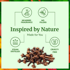 SVA ORGANICS Clove Bud Oil used in dental care blends for rinses and pastes.