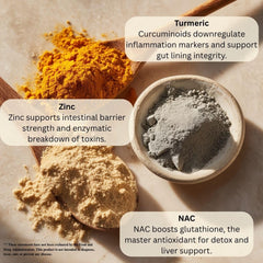 Activated charcoal capsules shown for toxin binding in GI pathways.