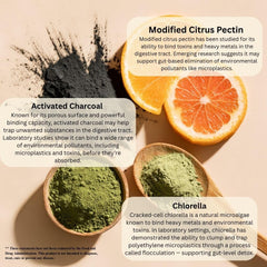 Modified citrus pectin powder illustrating gut-friendly pollutant binding.